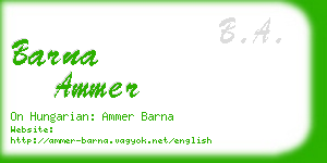 barna ammer business card